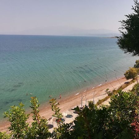 Koralli Sea View Hotel Kato Achaia Exterior foto